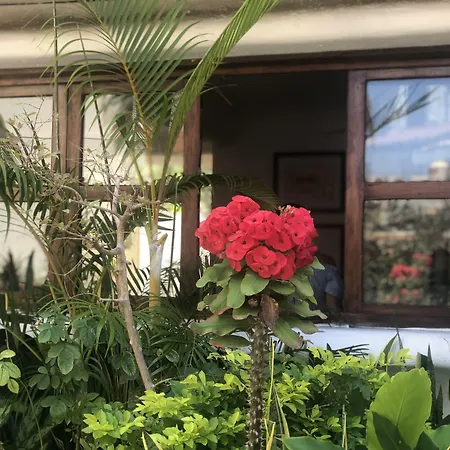 Hotel Amaca Puerto Vallarta - Adults Only-2