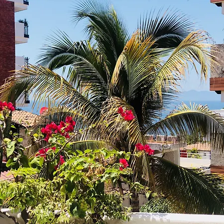 Hotel Amaca Puerto Vallarta - Adults Only-3
