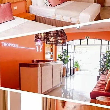 Hotel Tropicus Boutique-2