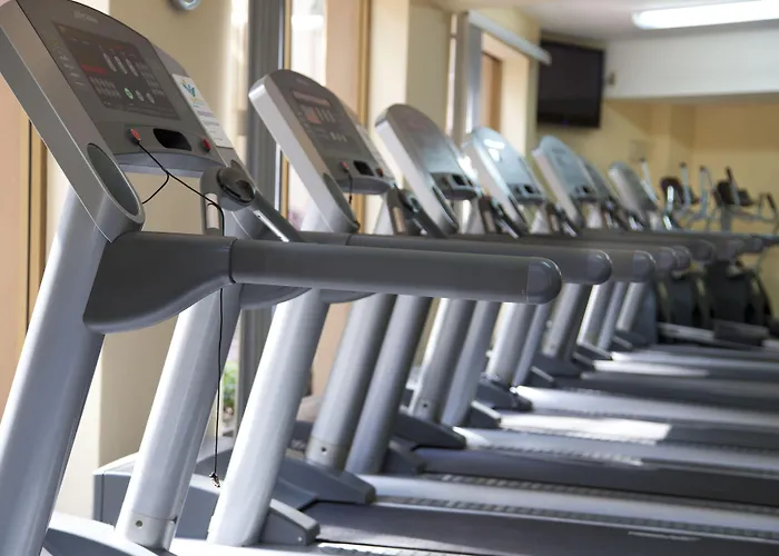 Hoteles en Puerto VallartaDel Palmar Beach &Spa